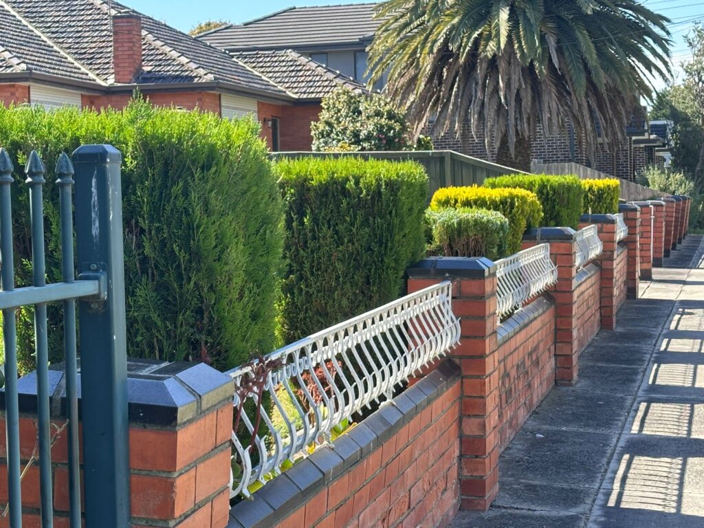 hedge trimming and pruning lawn by nextdoor lawn mowing