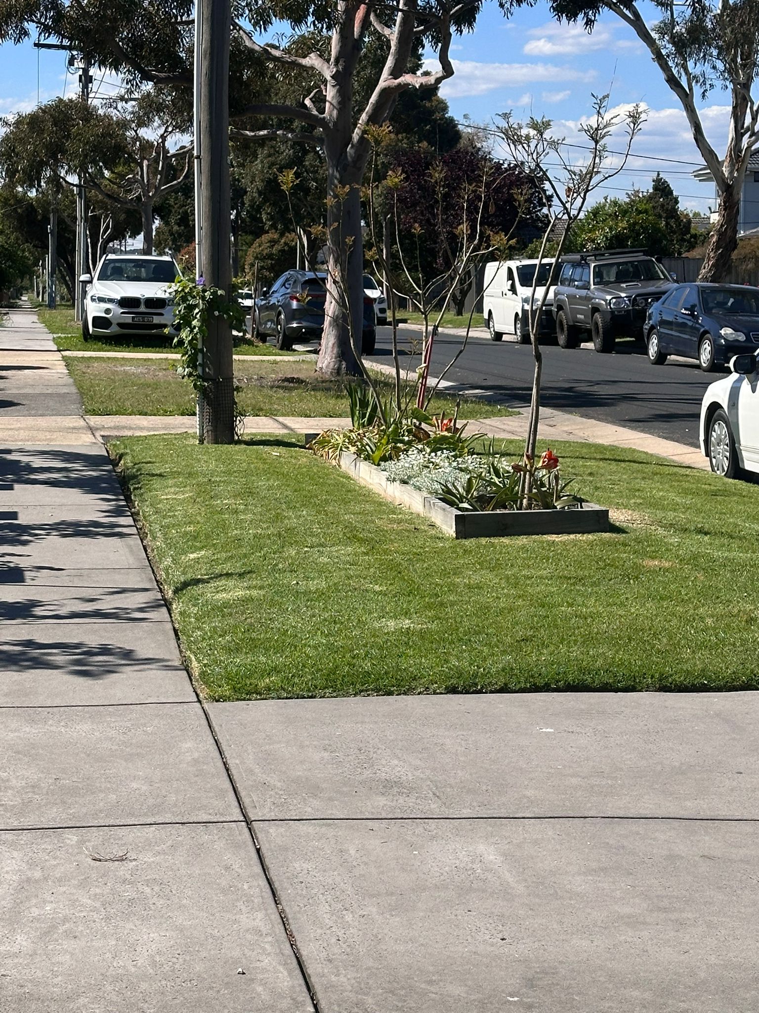 edging and whipper by nextdoor lawn mowing
