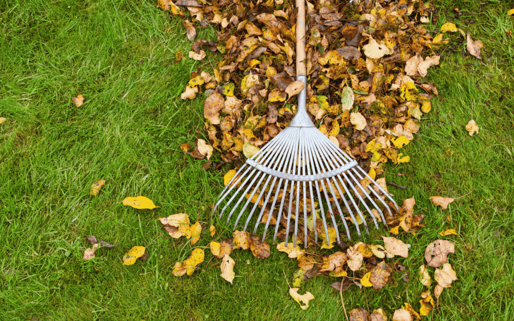 green waste removal by nextdoor lawn mowing