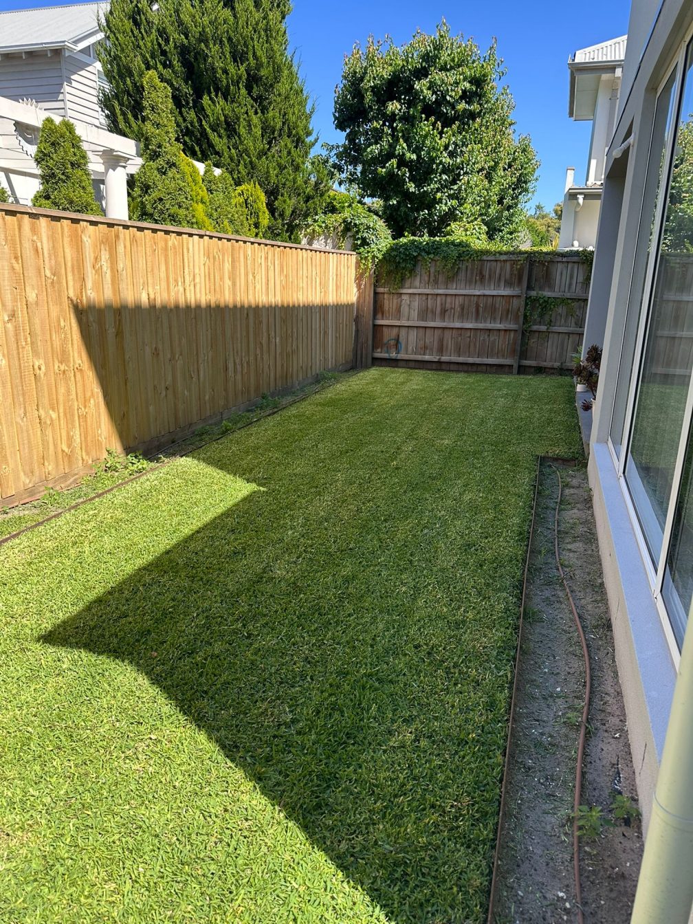 Neatly trimmed and improved backyard lawn after Nextdoor Lawn Mowing service